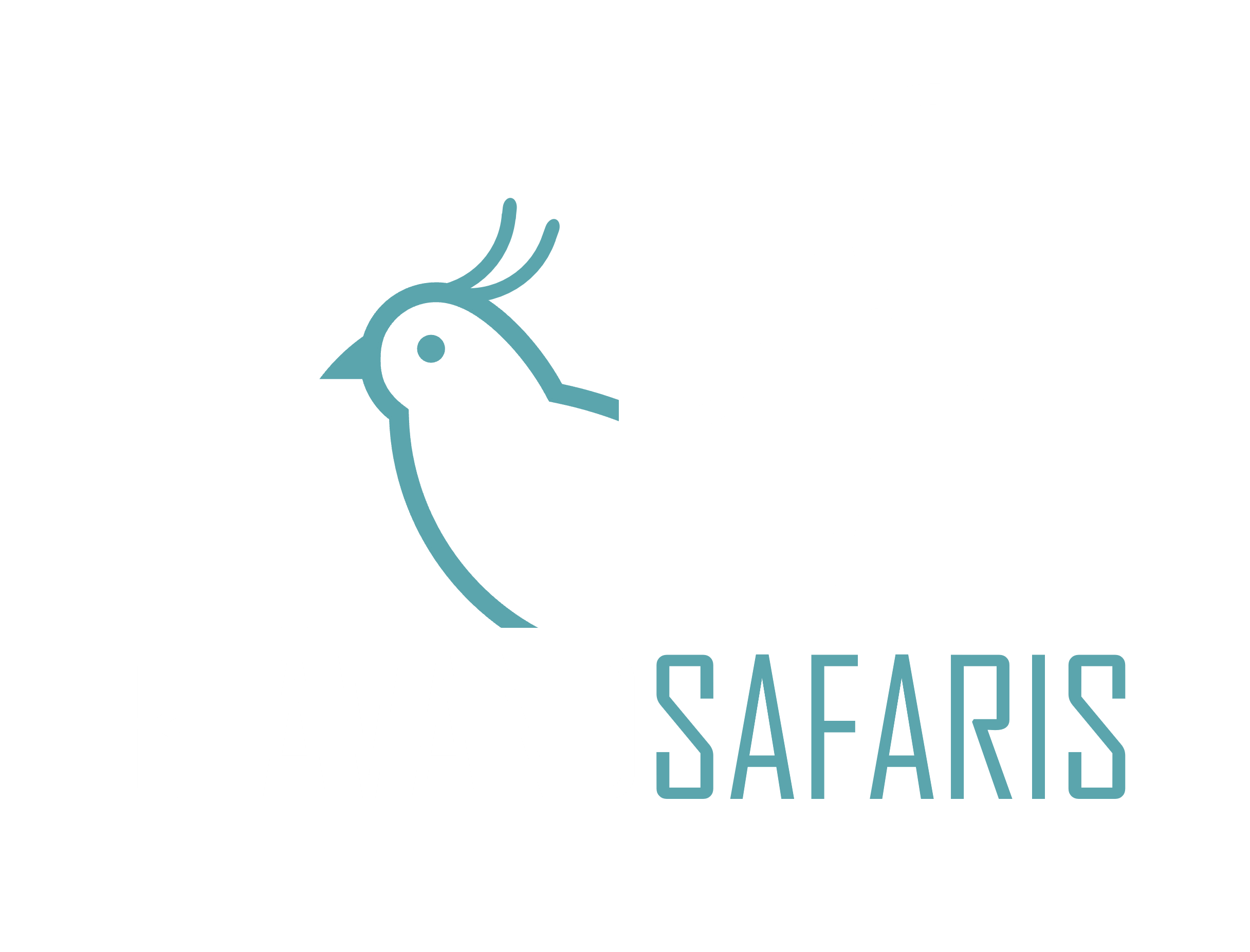Blaavand Safaris
